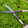 DARLAC Telescopic Hedge Shear