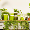 ESSCHERT DESIGN 'Green Shades' Plant Labels - Set of 6