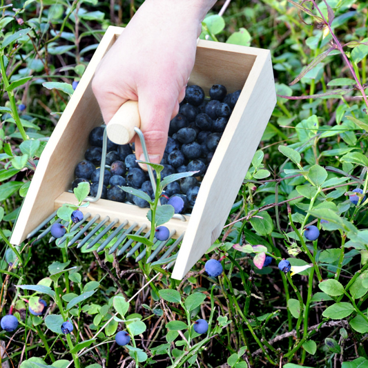 ESSCHERT DESIGN Berry Picker