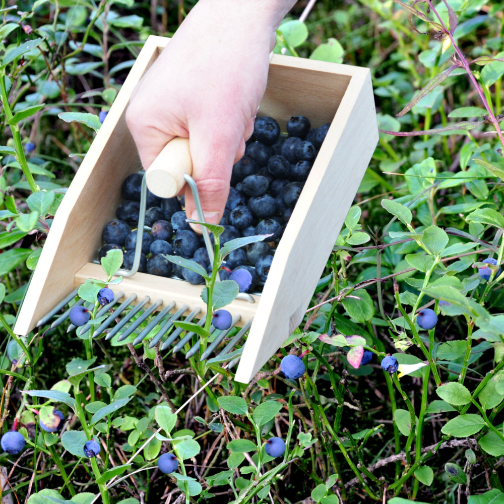 Load image into Gallery viewer, ESSCHERT DESIGN Berry Picker