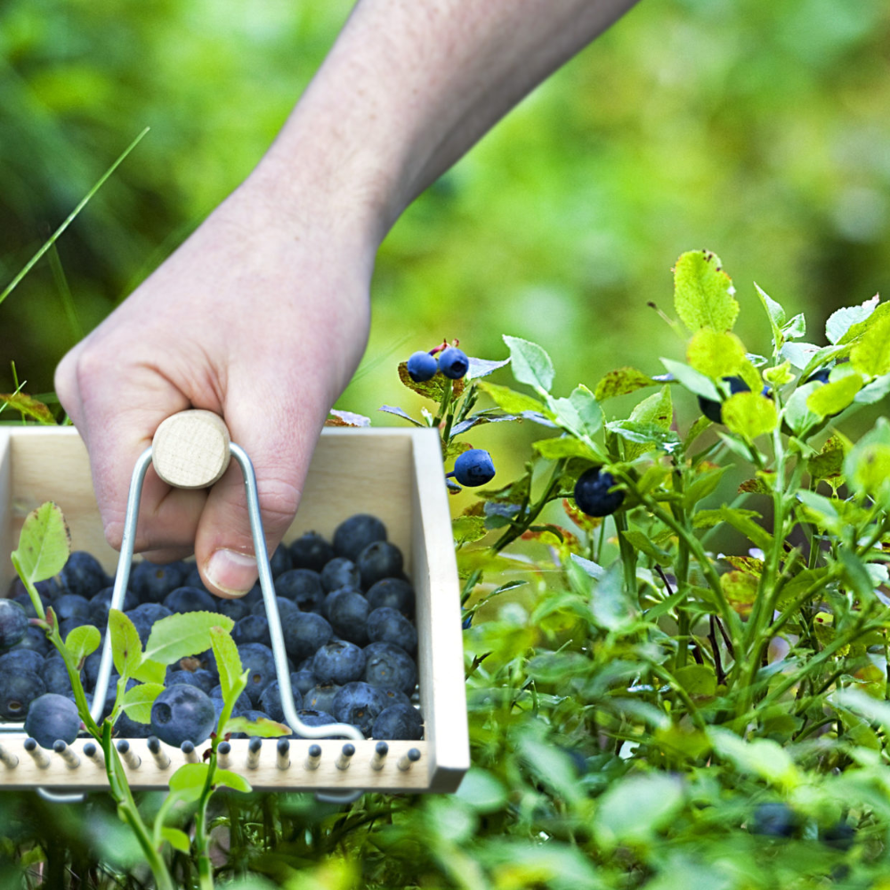 Load image into Gallery viewer, ESSCHERT DESIGN Berry Picker