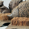 ESSCHERT DESIGN Bootscraper Hedgehog