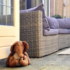 ESSCHERT DESIGN Door Stop - Elephant