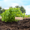 ESSCHERT DESIGN Plant Label Kit