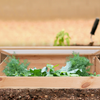 ESSCHERT DESIGN Garden Cold Protection Frame
