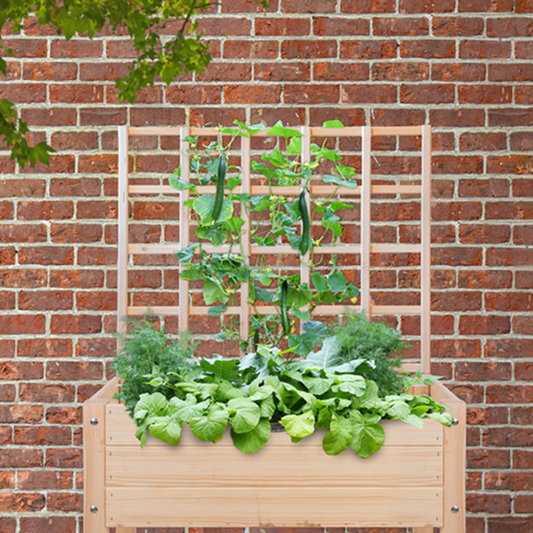 ESSCHERT DESIGN Wooden Garden Bed Trellis