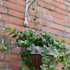 ESSCHERT DESIGN Round Lion Hanging Basket