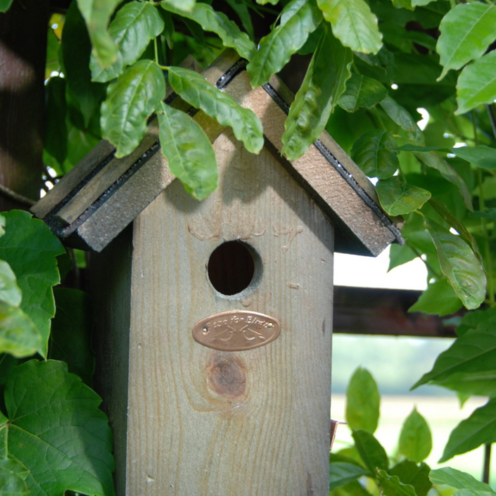ESSCHERT DESIGN Wren Nesting Box With Bitumen Roof