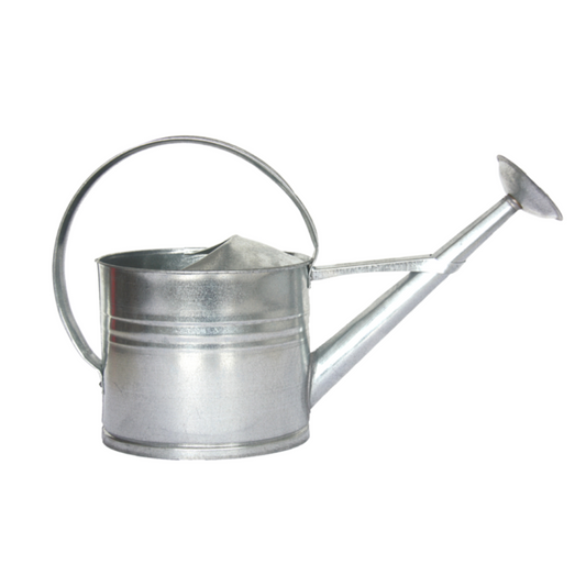 ESSCHERT DESIGN Zinc Watering Can Medium - 8L