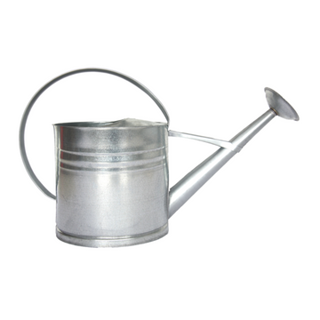 ESSCHERT DESIGN Zinc Watering Can Large - 10L