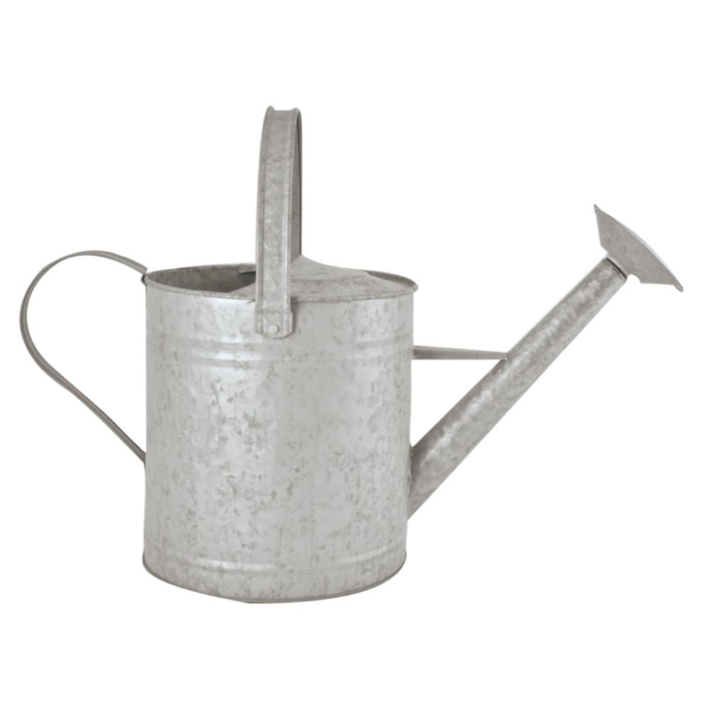 Load image into Gallery viewer, ESSCHERT DESIGN Aged Zinc Watering Can - 6.5L