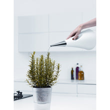 Load image into Gallery viewer, EVA SOLO AquaStar Plant Watering Can - White