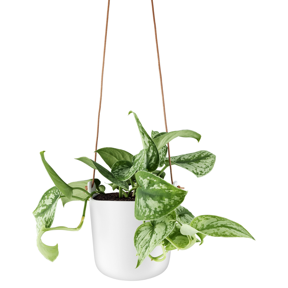 EVA SOLO Self-Watering Flowerpot Hanging White - 15cm
