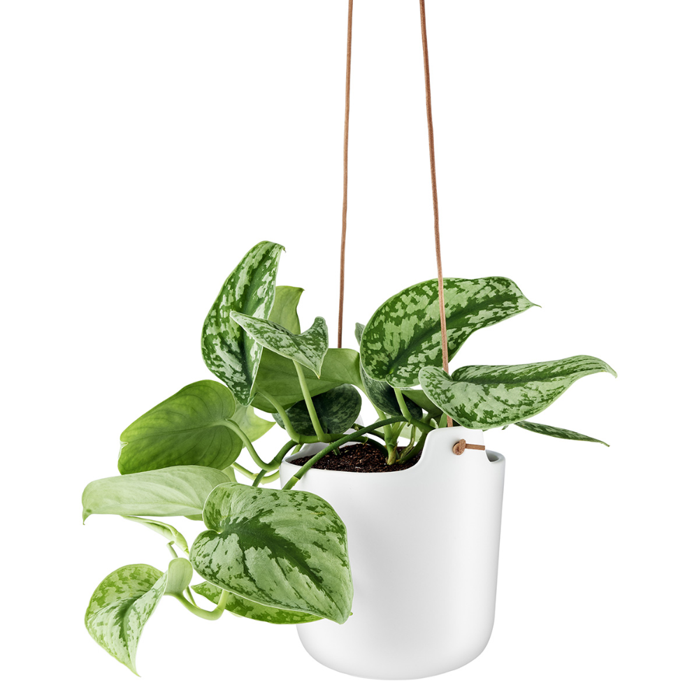 Load image into Gallery viewer, EVA SOLO Self-Watering Flowerpot Hanging White - 15cm **CLEARANCE**