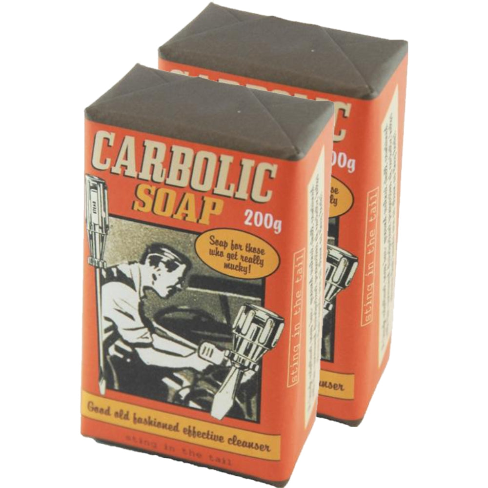 Load image into Gallery viewer, STING IN THE TAIL | Hand and Body Carbolic Soap - 200 gram