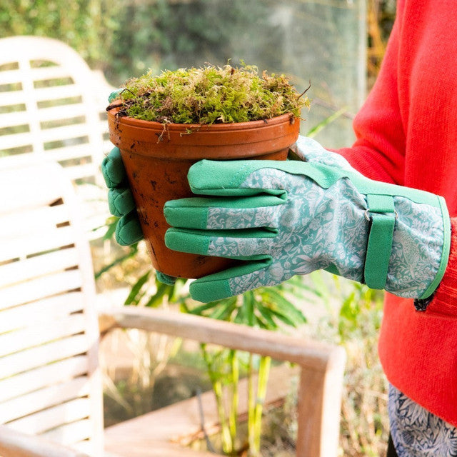 Load image into Gallery viewer, HEATHCOTE &amp; IVORY x MORRIS &amp; CO Golden Lily Gardening Glove &amp; Hand Cream Set