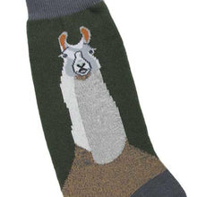 Load image into Gallery viewer, FOOT TRAFFIC Men&#39;s Socks - Llama