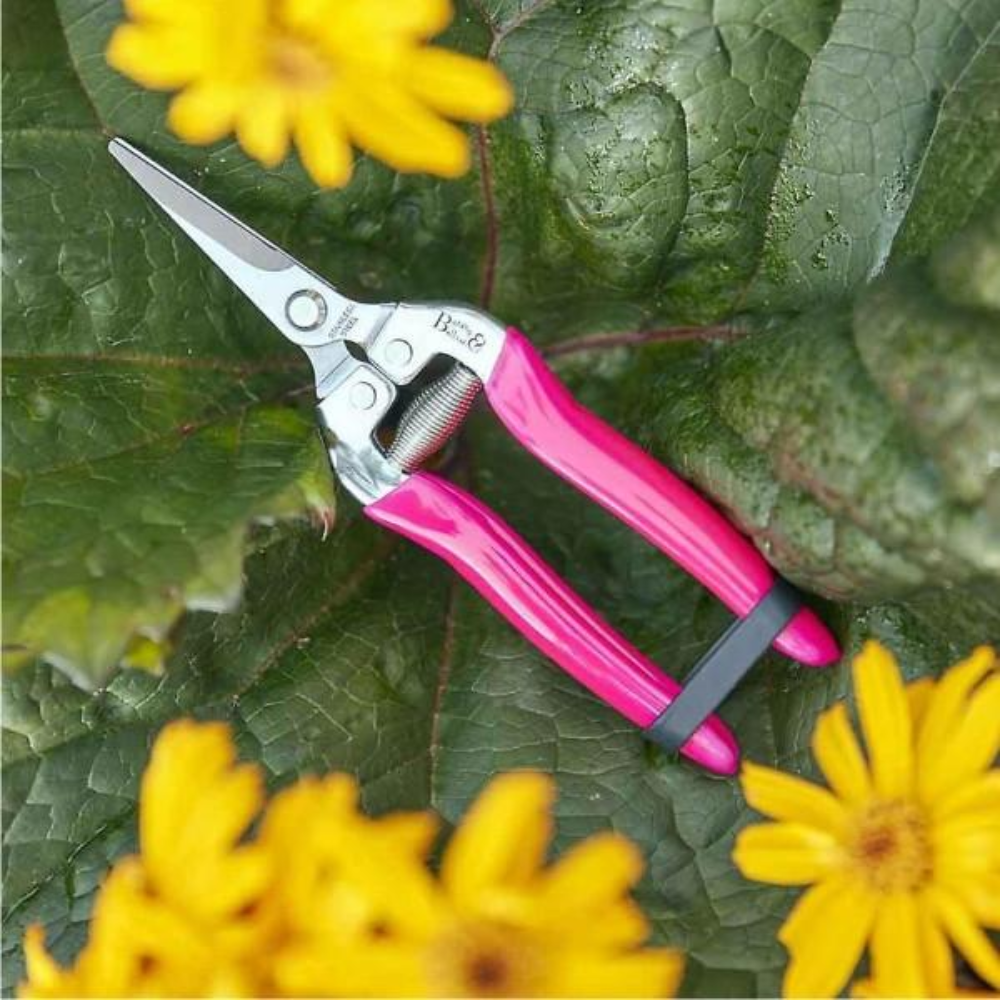 Load image into Gallery viewer, BURGON &amp; BALL FloraBrite™ Complete Gardeners Bundle - Pink