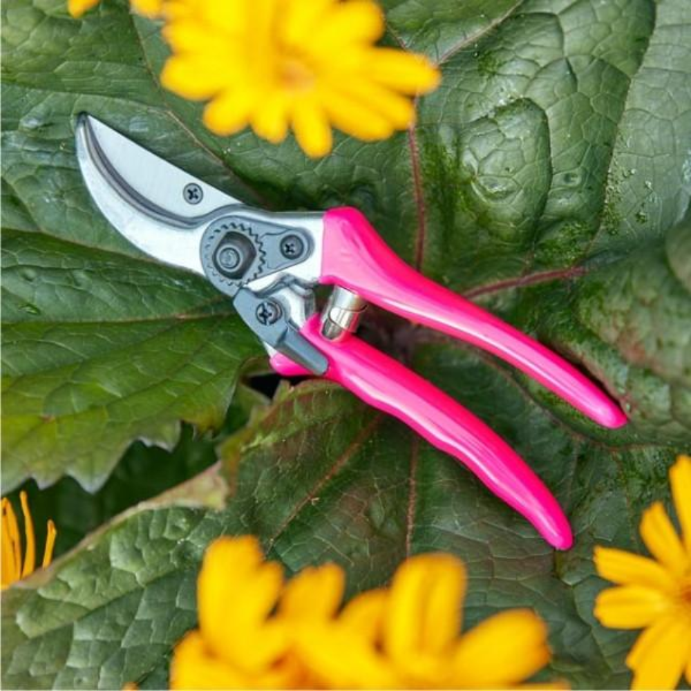 Load image into Gallery viewer, BURGON &amp; BALL FloraBrite™ Complete Gardeners Bundle - Pink