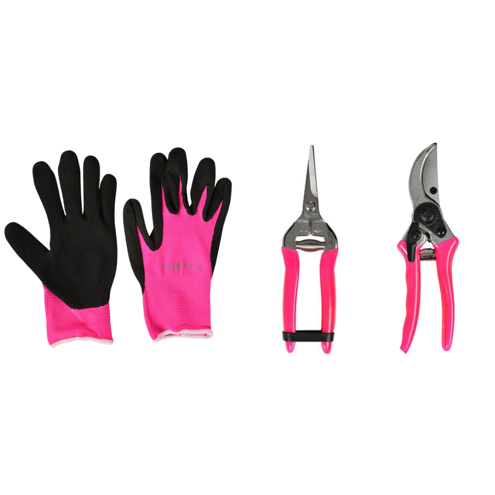 BURGON & BALL FloraBrite™ Cutting Bundle - Pink