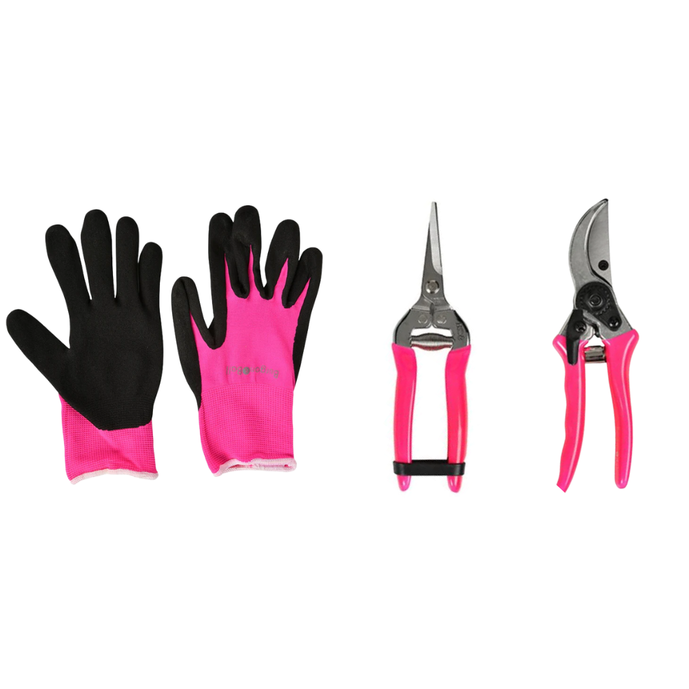 Load image into Gallery viewer, BURGON &amp; BALL FloraBrite™ Cutting Bundle - Pink