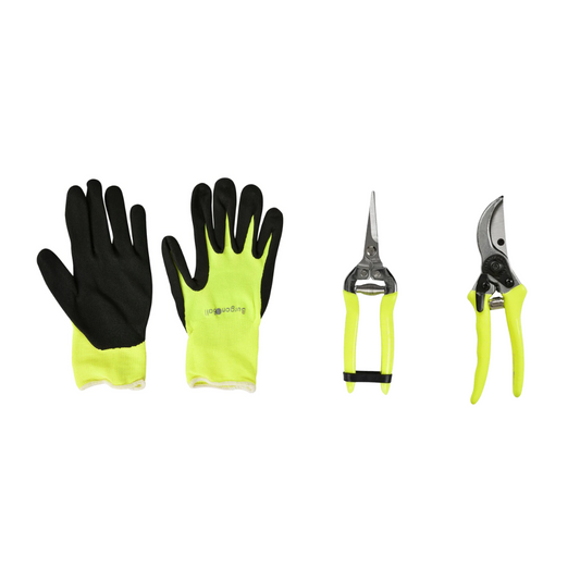 BURGON & BALL FloraBrite™ Cutting Bundle - Yellow