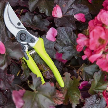 Load image into Gallery viewer, BURGON &amp; BALL FloraBrite™ Complete Gardeners Bundle - Yellow