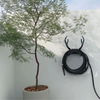 GARDEN GLORY Night Rider Kit - Black Swan
