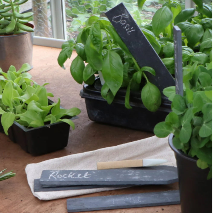 GARDEN TRADING Set of 6 Slate Plant Tags