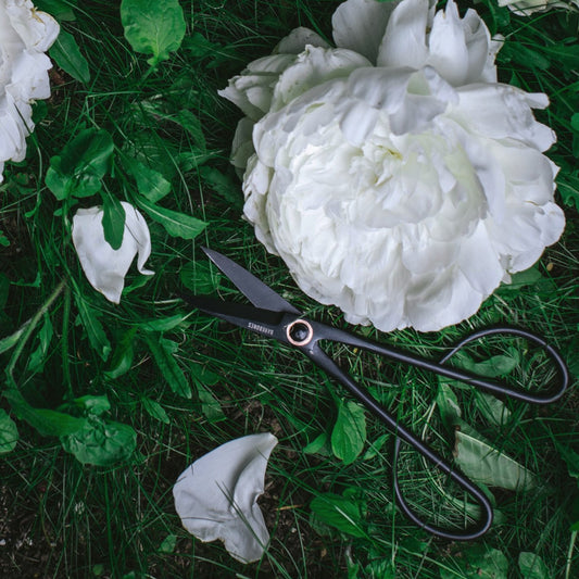 BAREBONES Artisan Trimming Shears