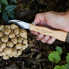 GENTLEMENS HARDWARE Foraging Knife