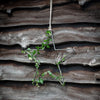 GARDEN TRADING Farringdon Star