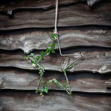 GARDEN TRADING Farringdon Star