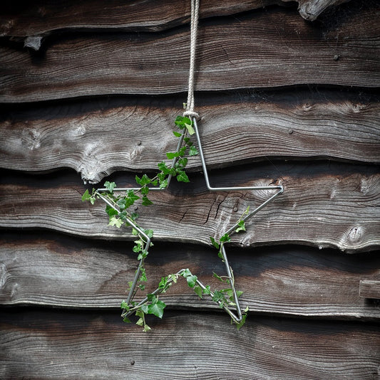 GARDEN TRADING Farringdon Star