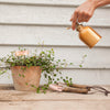 ESSCHERT DESIGN Plant Label Markers Set of 6 - Copper