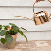 ESSCHERT DESIGN Plant Label Markers Set of 6 - Copper