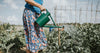 HAWS Traditional Watering Can 'The Bearwood Brook Green' - One Gallon (4.5L)