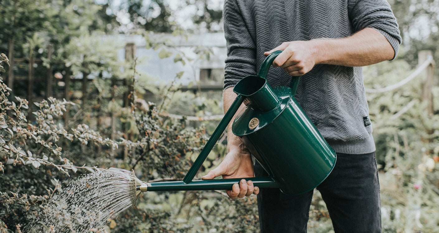 Load image into Gallery viewer, HAWS Traditional Watering Can &#39;The Bearwood Brook Green&#39; - Two Gallon (9L)