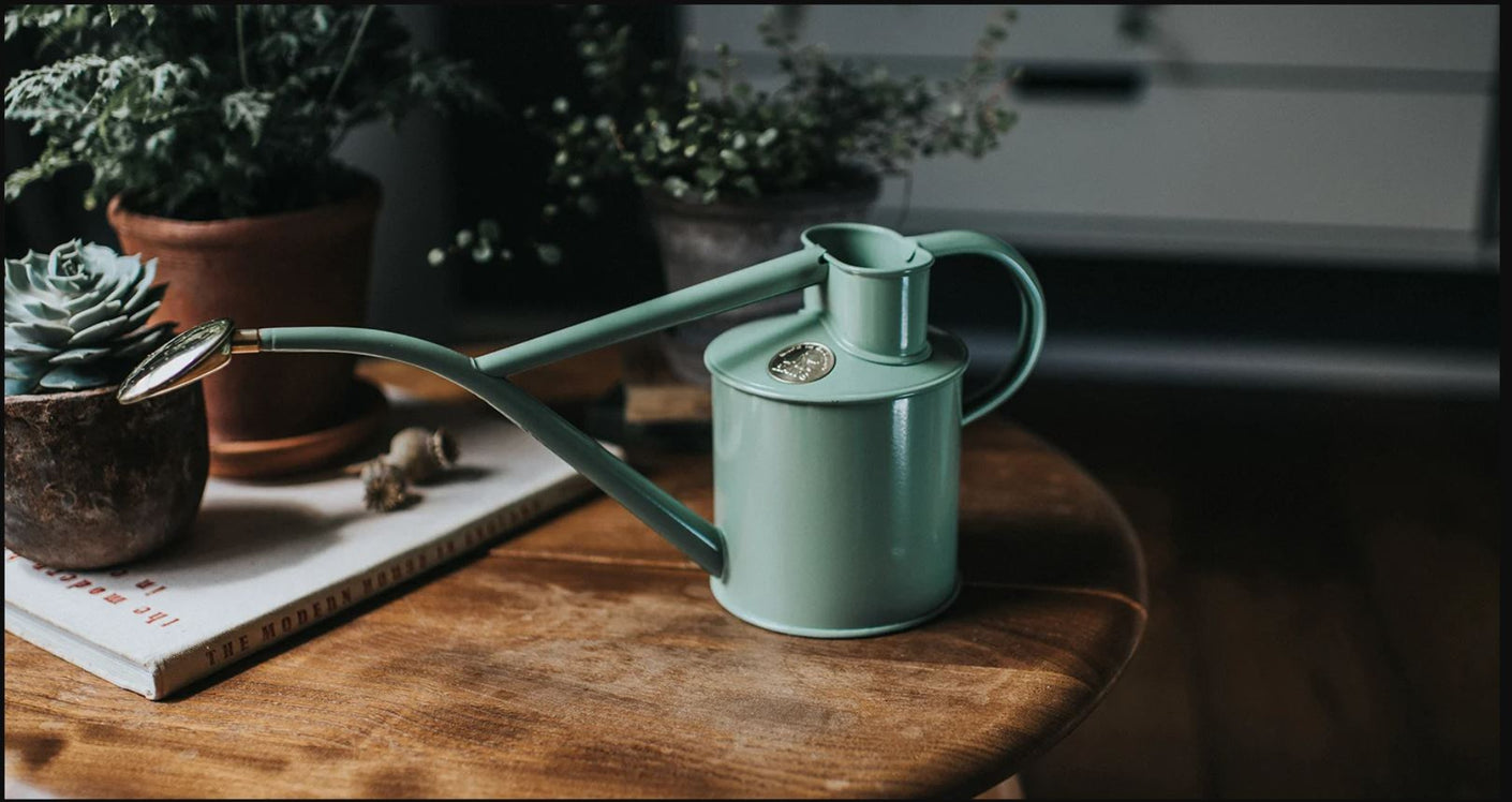 Load image into Gallery viewer, HAWS Gift Boxed Metal Indoor Plant Watering Can &#39;The Rowley Ripple&#39; 2 Pint (1 Litre) - Sage