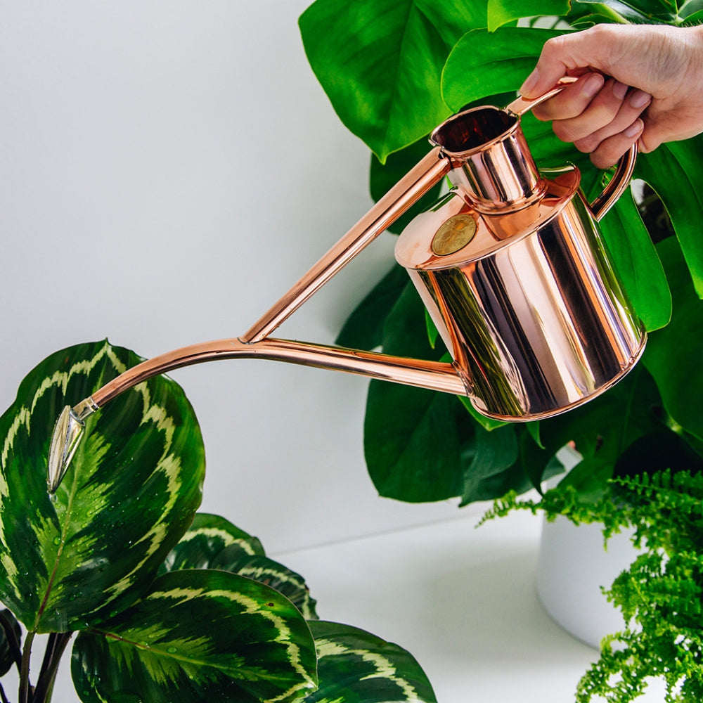 Load image into Gallery viewer, HAWS Gift Boxed Metal Indoor Plant Watering Can &#39;The Rowley Ripple&#39; 2 Pint (1 Litre) - Copper