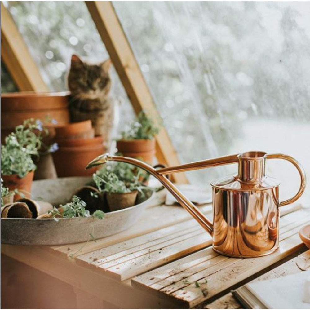 Load image into Gallery viewer, HAWS Gift Boxed Metal Indoor Plant Watering Can &#39;The Rowley Ripple&#39; 2 Pint (1 Litre) - Copper