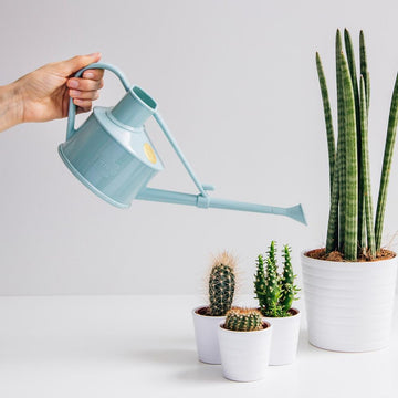 HAWS 'The Langley Sprinkler Duck Egg Blue' Plastic Watering Can - One Pint