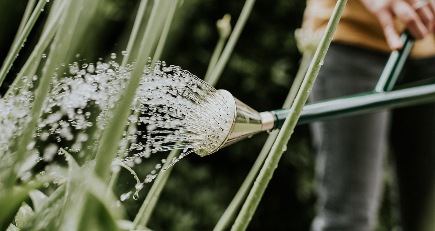 Load image into Gallery viewer, HAWS Replacement Watering Can Rose - Brass Round Coarse Spray