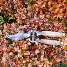 Load image into Gallery viewer, Wood Handled Secateurs - Ash