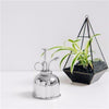 Haws | Mist Sprayer - Nickel displayed