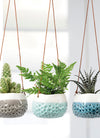 BURGON & BALL Hanging Plant Pot - 'Baby Dotty Trio'