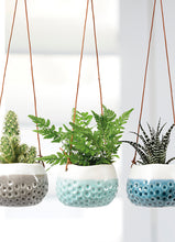 Load image into Gallery viewer, BURGON &amp; BALL Hanging Plant Pot - &#39;Baby Dotty Trio&#39;