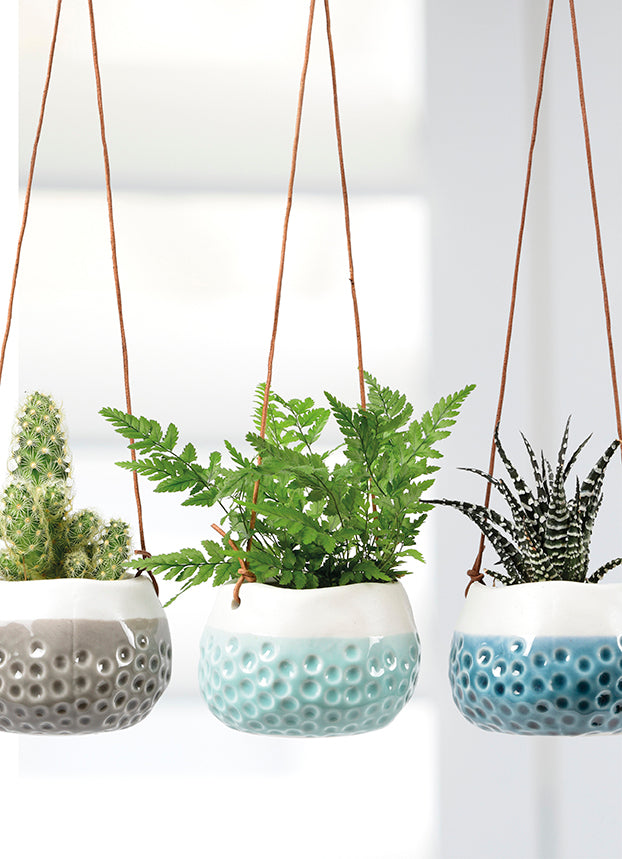 Load image into Gallery viewer, BURGON &amp; BALL Hanging Plant Pot - &#39;Baby Dotty Trio&#39;