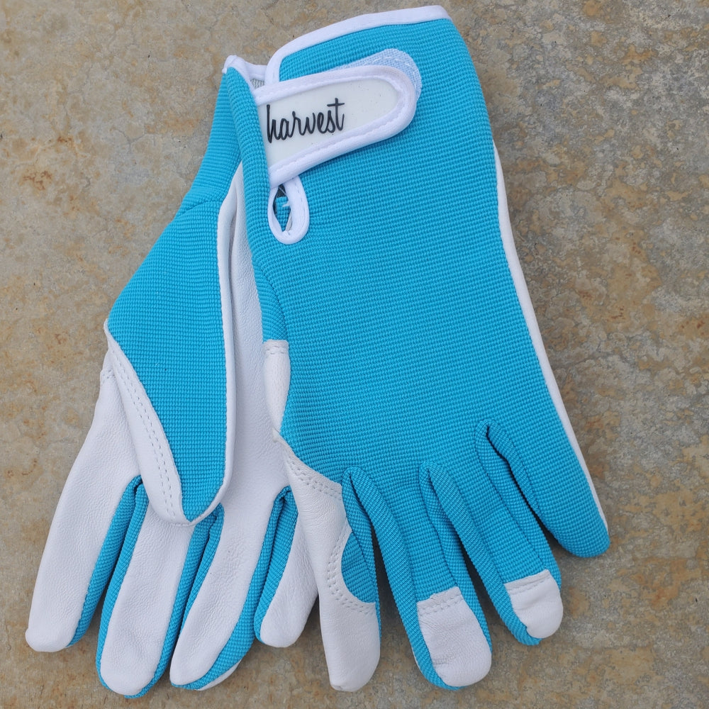 HARVEST Ladies Goatskin Gloves - Aqua