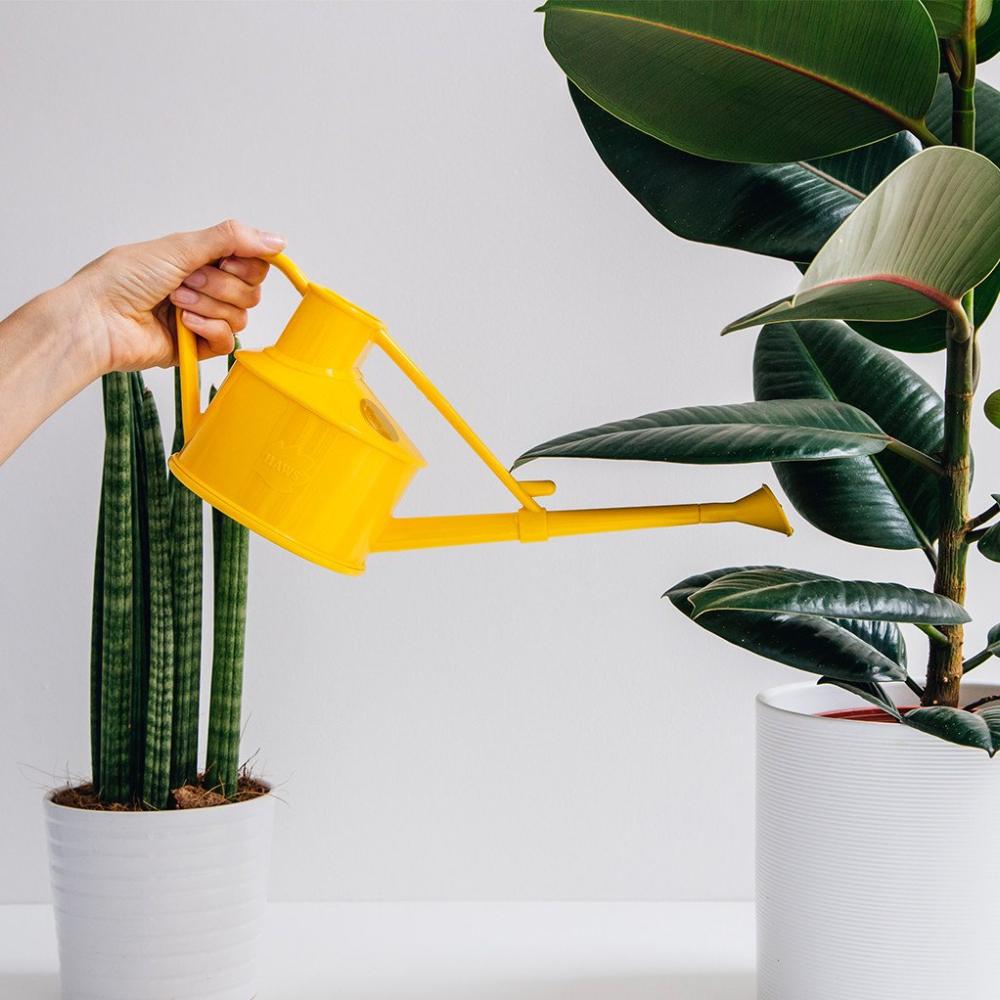 Load image into Gallery viewer, HAWS &#39;The Langley Sprinkler Buttercup Yellow&#39; Plastic Watering Can - One Pint